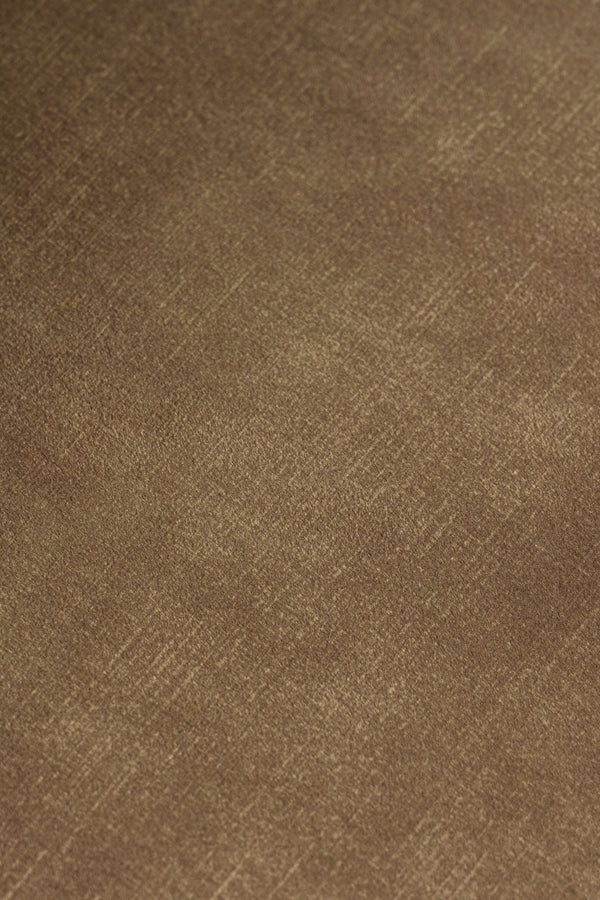 Ditka Modern Camel Velvet Dining Chair (Set of 2)