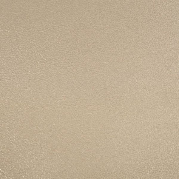 ACME Danae Synthetic Leather Champagne & Gold Side Chair (Set-2) Model DN01198