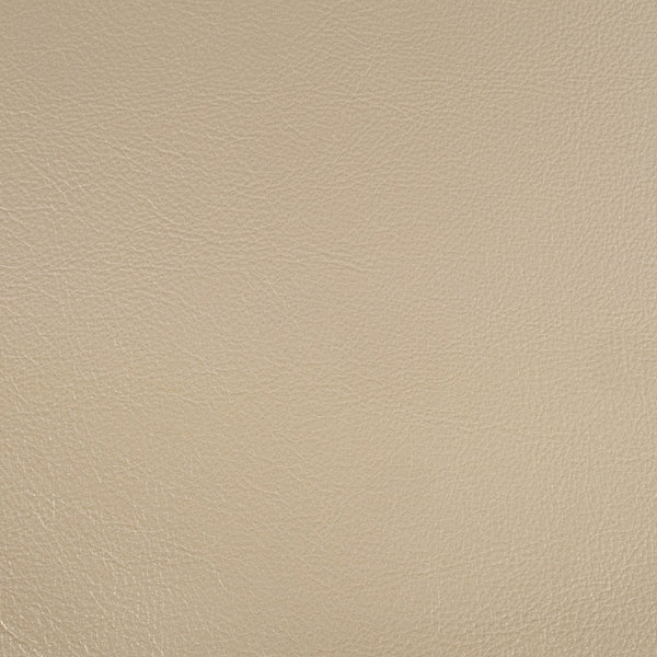 ACME Sorina Synthetic Leather & Antique Gold Side Chair (Set-2) Model DN01209