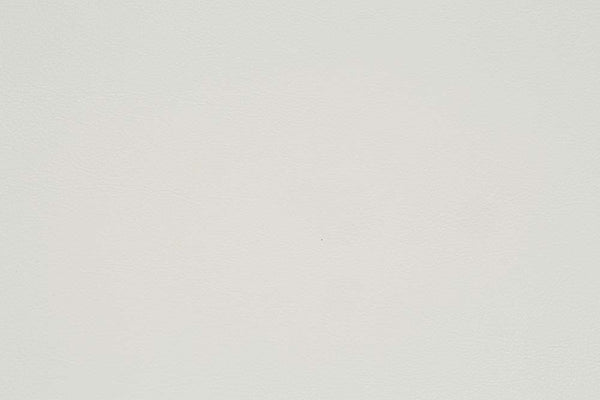 ACME Adara Pearl White Synthetic Leather & Antique White Arm Chair (Set-2) Model DN01231