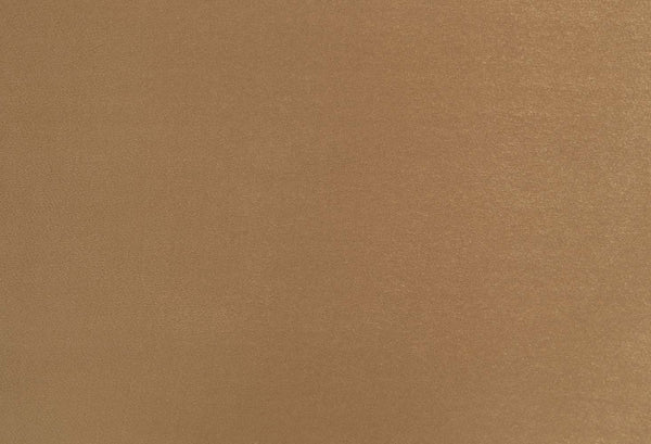 ACME Bernadette Pattern Fabric & Gold Arm Chair (Set-2) Model DN01472