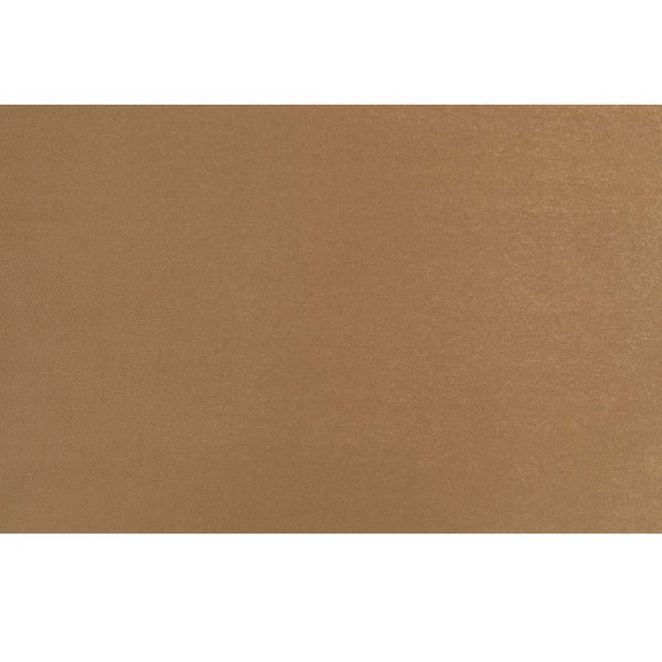 ACME Bernadette Pattern Fabric & Gold Arm Chair (Set-2) Model DN01472