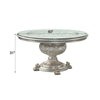 ACME Sandoval Champagne Round Dining Table Model DN01493