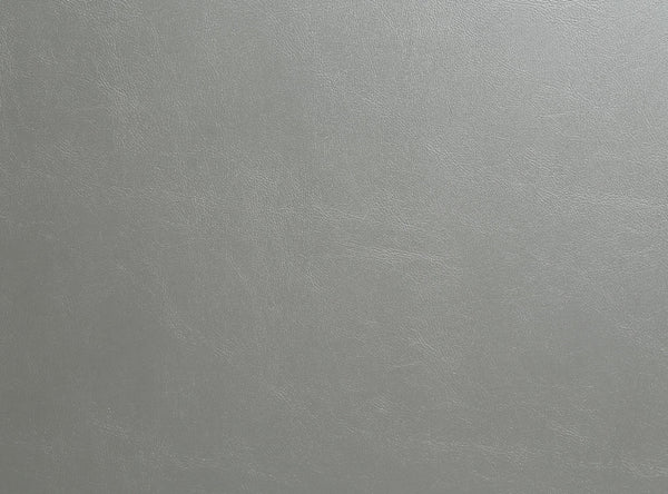 ACME Sandoval Beige Synthetic Leather & Champagne Side Chair (Set-2) Model DN01495