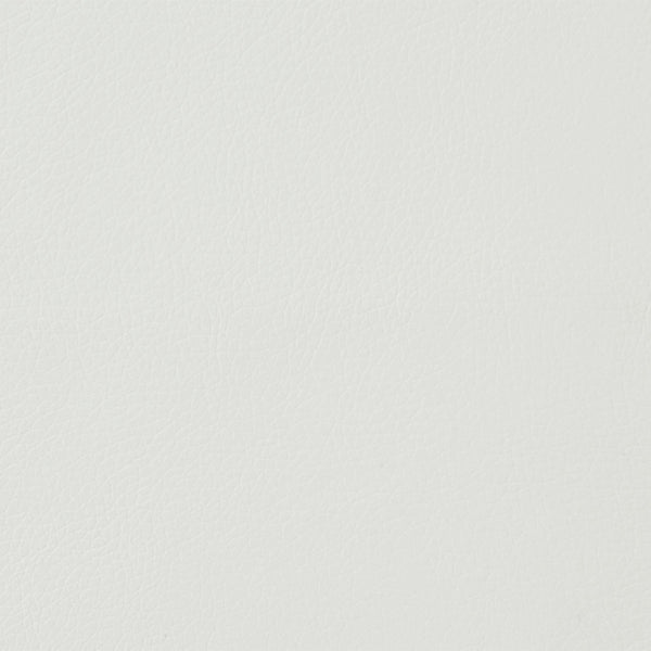 ACME Kamaile Beige Synthetic Leather & Chrome Side Chair (Set-2) Model DN02134