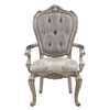 ACME Ariadne Velvet & Antique Plantinum Arm Chair (Set-2) Model DN02283