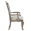 ACME Ariadne Velvet & Antique Plantinum Arm Chair (Set-2) Model DN02283