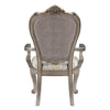 ACME Ariadne Velvet & Antique Plantinum Arm Chair (Set-2) Model DN02283