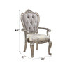ACME Ariadne Velvet & Antique Plantinum Arm Chair (Set-2) Model DN02283
