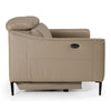 Eden Modern Taupe Leather Loveseat with 2 Recliners