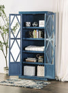 Furniture of America Zenia Denim Blue Rustic Curio Model EM-AC094BL