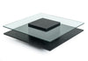 Emulsion Modern Black Oak Glass Coffee Table Model VGHBHK22A-BLK