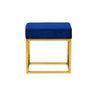 Modrest Downey Modern Blue Velvet & Gold Stool Ottoman Model VGFH-FDC8016-BLU