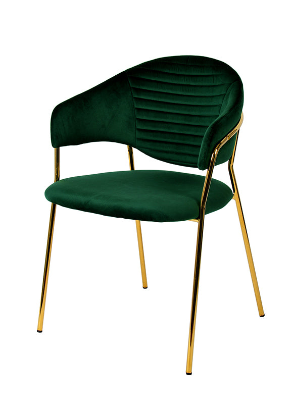 Modrest Trevor Modern Green Velvet & Gold Dining Chair (Set Of 2) Model VGFHFDC8022-GRN