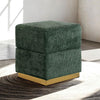 Furniture of America Krysten Green Contemporary Storage Stool Model FM-AC8005GR