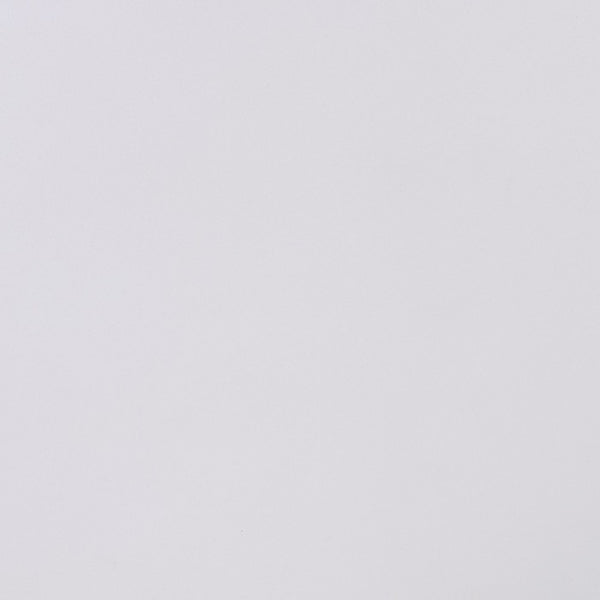 Furniture of America Manzanita White Traditional Arm Chair Model FM3261WH-AC-2PK