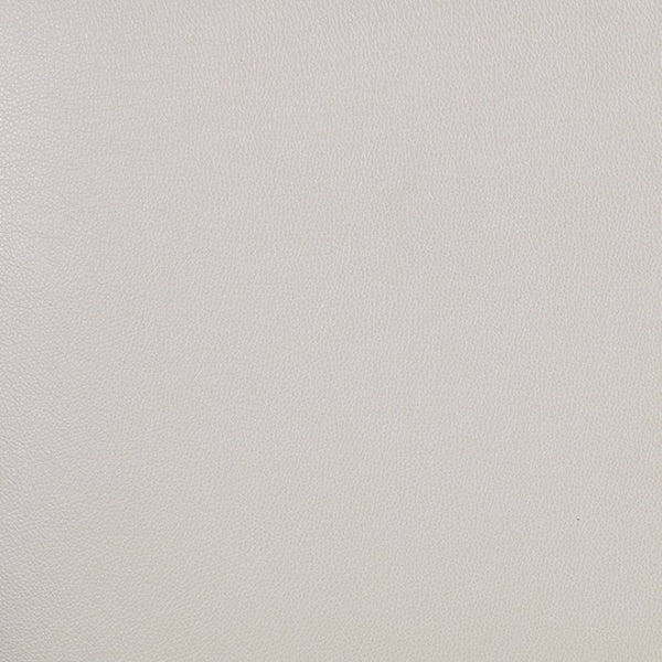 Furniture of America Manzanita White Traditional Arm Chair Model FM3261WH-AC-2PK