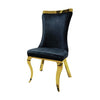 Furniture of America Basilicata Black Glam Gold Chair (2/Ctn) Model FM33013BK-SC-2PK