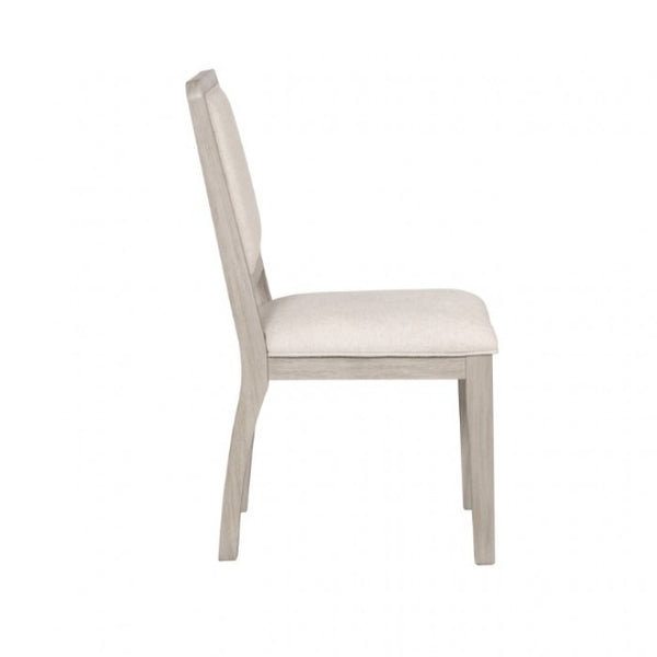 Furniture of America Belize Gray Modern Side Chair (2/Ctn) Model FM39016AK-SC-2PK
