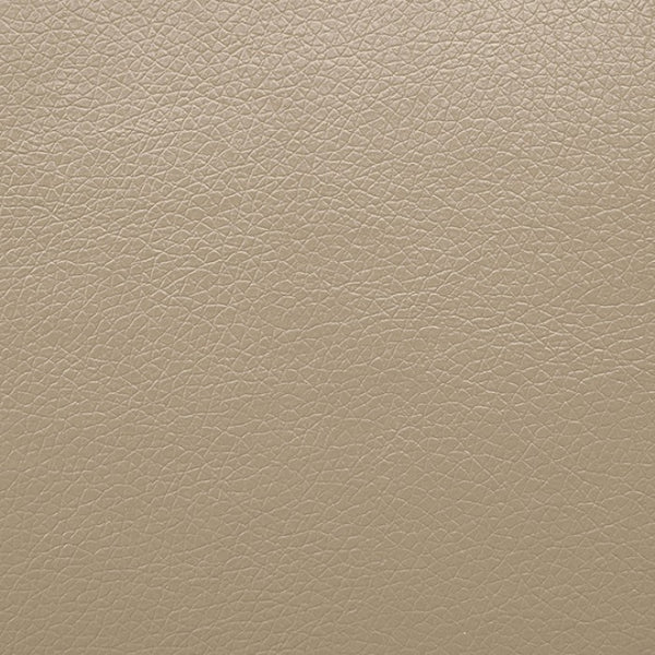 Furniture of America Schlieren Beige Contemporary Power Recliner Model FM6012BG-CH-PM