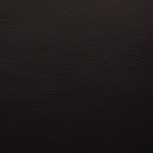 Furniture of America Schlieren Black Contemporary Power Recliner Model FM6012BK-CH-PM