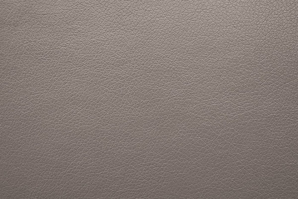 Furniture of America Schlieren Light Brown Contemporary Power Recliner Model FM6012LB-CH-PM