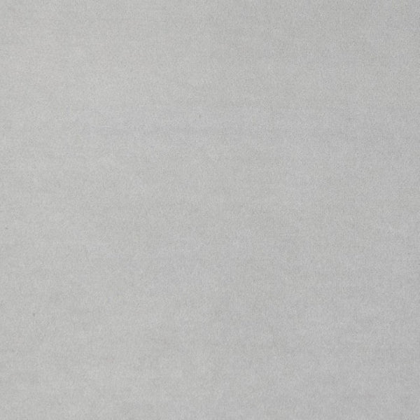 Furniture of America Severo Light Gray Contemporary Chair Model FM61005LG-CH