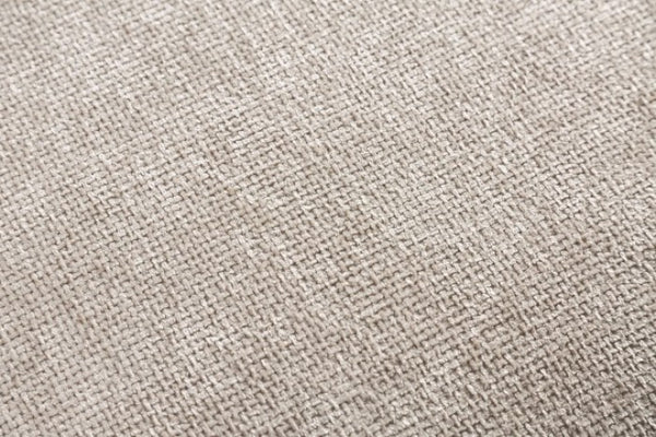 Furniture of America Gladbach Light Brown Contemporary Chair Model FM63007LB-CH