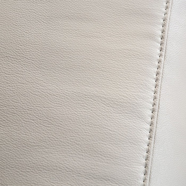 Furniture of America Bienne Taupe Transitional Recliner Chair Model FM69002TP-CH-M