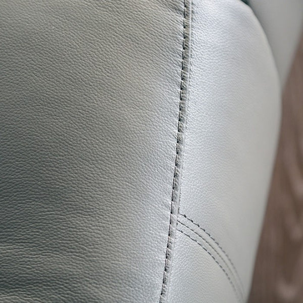 Furniture of America Glarus Dark Gray Transitional Recliner Chair Model FM69003DG-CH-M