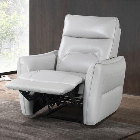 Furniture of America Terentius Taupe Contemporary Power Recliner Model FM69006TP-CH-PM