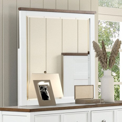 Furniture of America Pinetop White/Dark Brown Modern Farmhouse Mirror Model FM7171WH-M