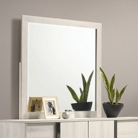 Furniture of America Horten White Wash Contemporary Mirror Model FM7200WH-M
