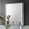 Furniture of America Cleburne Light Gray Contemporary Mirror Model FM72011LG-M