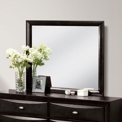 Furniture of America Zosimo Black Transitional Mirror Model FM7210BK-M