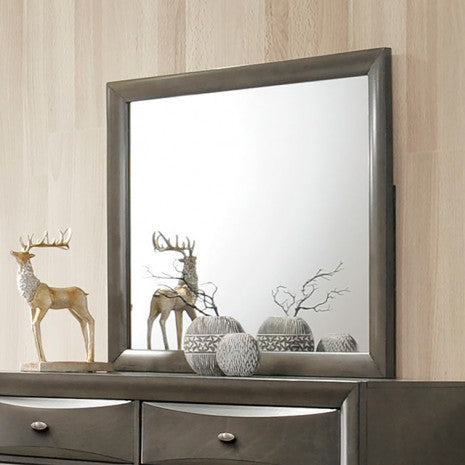 Furniture of America Zosimo Gray Transitional Mirror Model FM7210GY-M