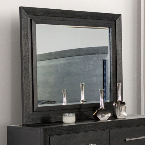 Furniture of America Ashbourne Black Contemporary Mirror Model FM7415BK-M