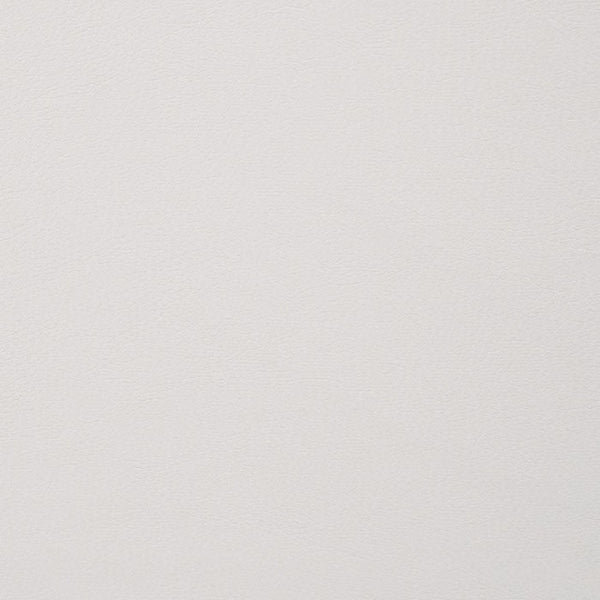 Furniture of America Alisha Black/Ivory Contemporary Side Chair (2/Ctn) Model FOA3799SC-2PK