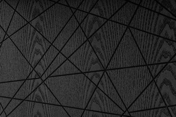 Modrest Kenda Modern Black Ash & Stainless Steel Dining Table Model VGVCT2355-BLK