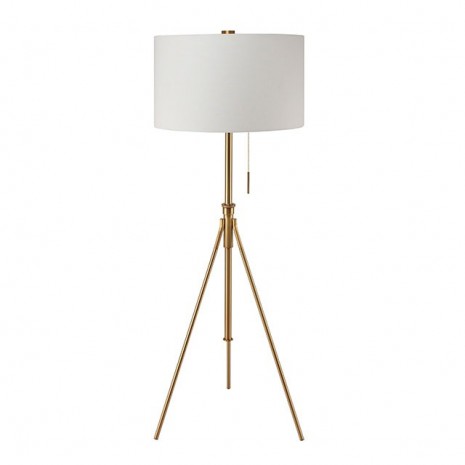 Furniture of America Zaya Stained Gold Contemporary Floor Lamp Model L731171F-GL
