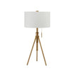Furniture of America Zaya Stained Gold Contemporary Table Lamp Model L731171T-GL
