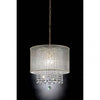 Furniture of America Ana Gold Glam Ceiling Lamp Model L9154H
