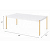 ACME Otrac White & Gold Coffee Table Model LV00034