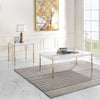 ACME Otrac White & Gold Coffee Table Model LV00034
