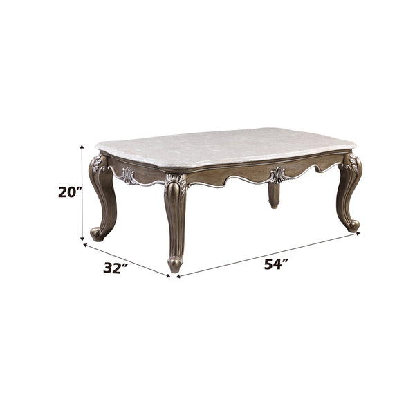 ACME Elozzol Natural Marble Top & Antique Bronze Coffee Table Model LV00302