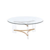 ACME Sosi Gold Coffee Table Model LV01083