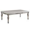ACME Pelumi Platinum Coffee Table Model LV01115