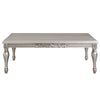 ACME Pelumi Platinum Coffee Table Model LV01115