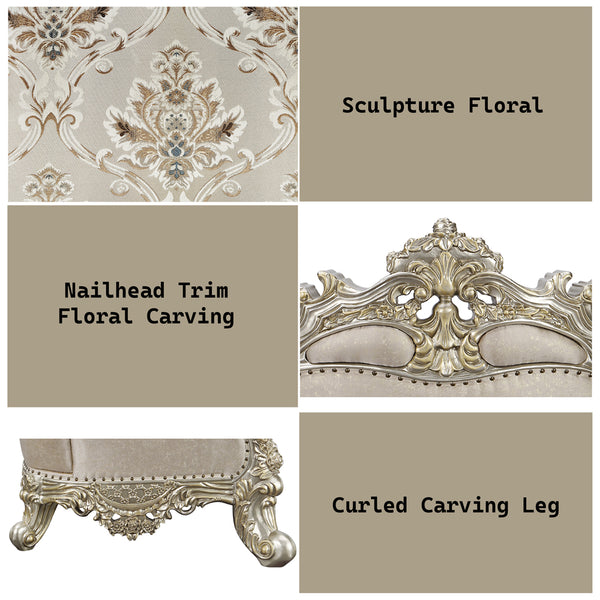 ACME Danae Fabric Champagne & Gold Chair with 2 Pillows Model LV01195