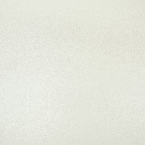 ACME Adara Pearl White Synthetic Leather & Antique White Chair with 2 Pillows Model LV01226